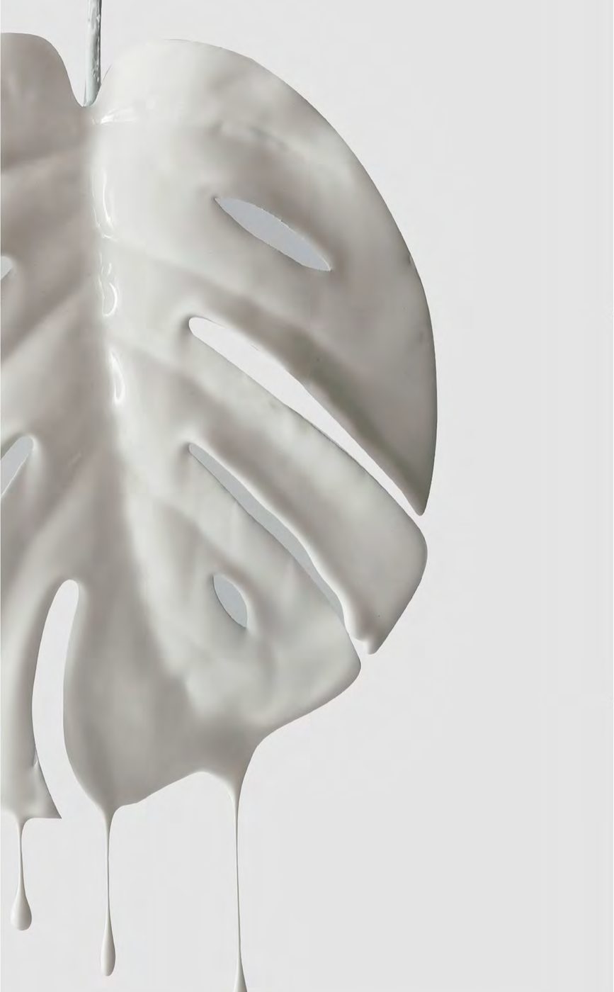 Бял цирконий Fusion White